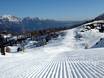 Slope preparation Gorenjska (Upper Carniola) – Slope preparation Vogel – Bohinj