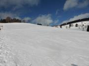 Flat and wide ski school slope at the Bucklift