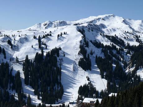 Ski resorts for advanced skiers and freeriding 3TälerPass – Advanced skiers, freeriders Damüls Mellau