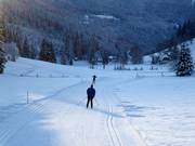 Weirerteich trail