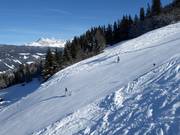 Black slope Hauber