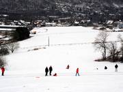 On the lower slope, skiing is only possible in summer – in winter, it is reserved for tobogganers.