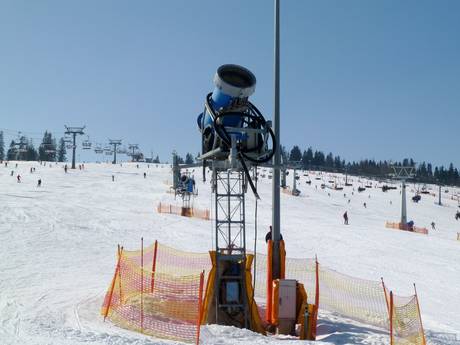 Snow reliability Lesser Poland (Województwo małopolskie) – Snow reliability Białka Tatrzańska – Kotelnica/Kaniówka/Bania