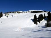 Engi slope