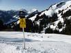 Ski resorts for advanced skiers and freeriding 3TälerPass – Advanced skiers, freeriders Diedamskopf – Schoppernau
