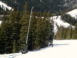 Telluride