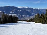 Trametsch slope