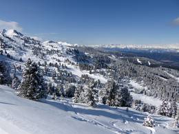 Alpe Cermis – Cavalese