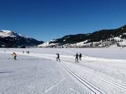 Cross-country trails in Tannheim
