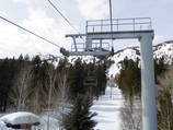 Moose Creek