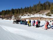 Horse-drawn carriage at the end of slope No. 1 Armentarola