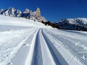 Perfectly groomed high-altitude cross-country trail at Rolle Pass