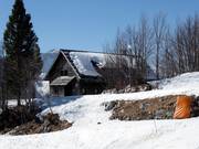 Chalet Hostel Murka