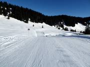 Easy family slope