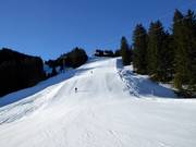 Slope Schwamm