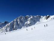 Alblitt descent