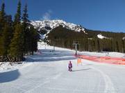 Easy slope Cascade