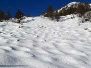 Mogul slope in the ski area