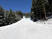 Valley run to Kappl