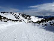 View from Steinkogel to Edeltal