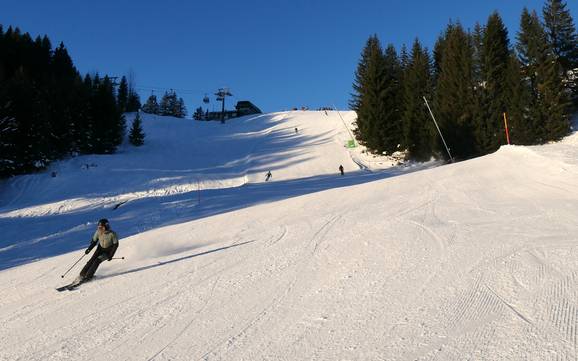 Ski resorts for advanced skiers and freeriding Alpsee Grünten – Advanced skiers, freeriders Ofterschwang/Gunzesried – Ofterschwanger Horn