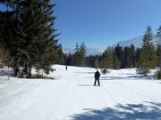Easy Bayernhaus Run