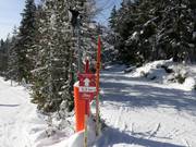 High-altitude trail Rittisberg at 1,500 m