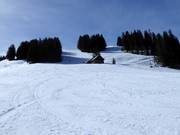 Easy slopes at Chuenisbärgli