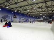 Beginner slope on the right side of the ski hall