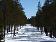 Trail in the Idre Fjäll ski area