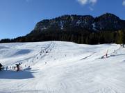 Slopes at the Grafenwiesenlift