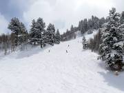Valley run