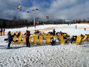 Sun loungers invite you to linger