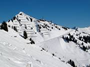 View of the Walmendingerhorn