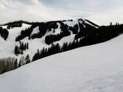 View of Aspen Mountain
