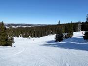 Easy slope Fjell
