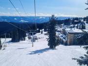 Take the gondola up the mountain