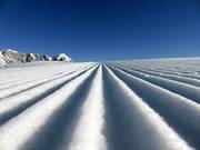 Traces in the snow
