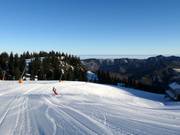 Alm descent