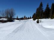 Cross-country trails in Kvitfjell