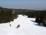 Stenata slope