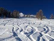 Powder snow tracks