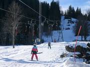 Steckenberglift I (C) - T-bar