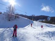 Riedlift - J-bar