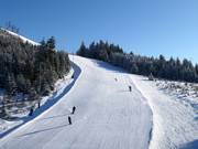 Hana/Milena slope on the Plešivec