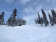 Ramble On slope