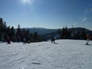 Ski run at Hundseck