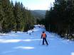 Ski resorts for beginners in the Czech Republic (Česká republika) – Beginners Špičák