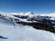 Ganderbild descent