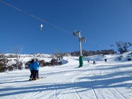 Antons T-bar